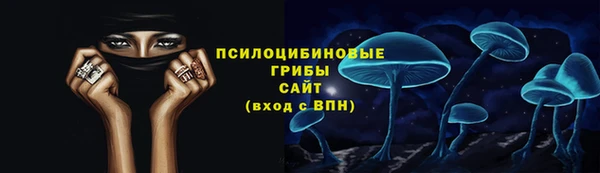 спайс Надым